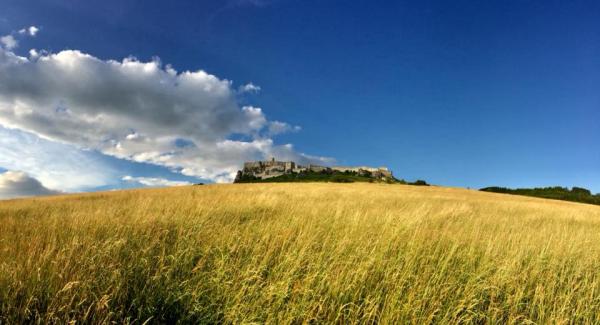 SPIŠSKÝ HRAD tričko pánske organické 2